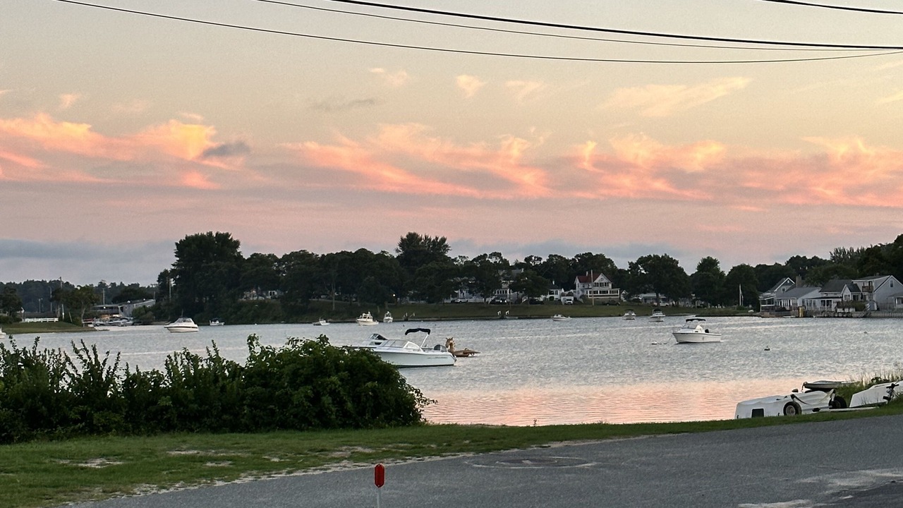 Photo of Others in East Wareham