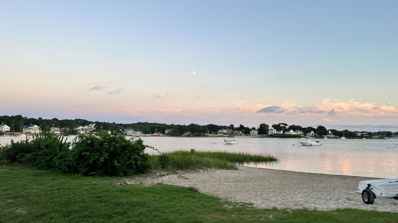 Photo of Others in East Wareham