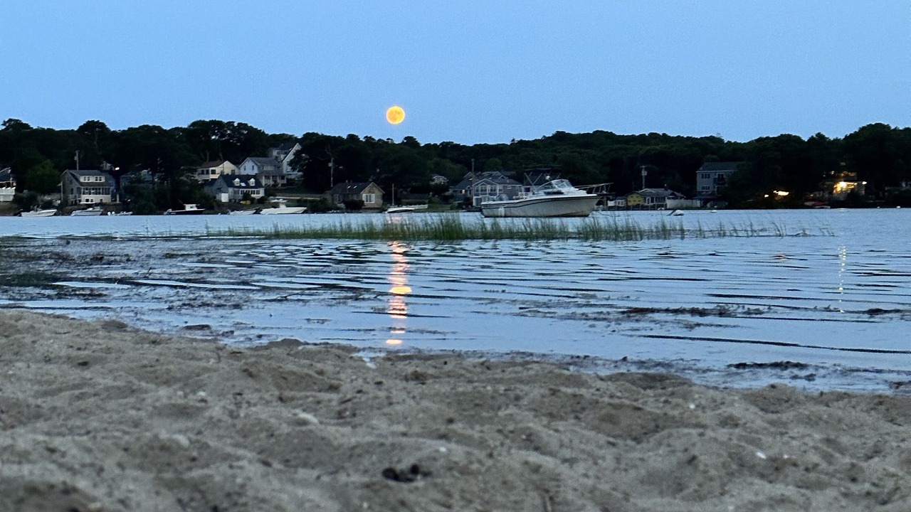 Photo of Others in East Wareham