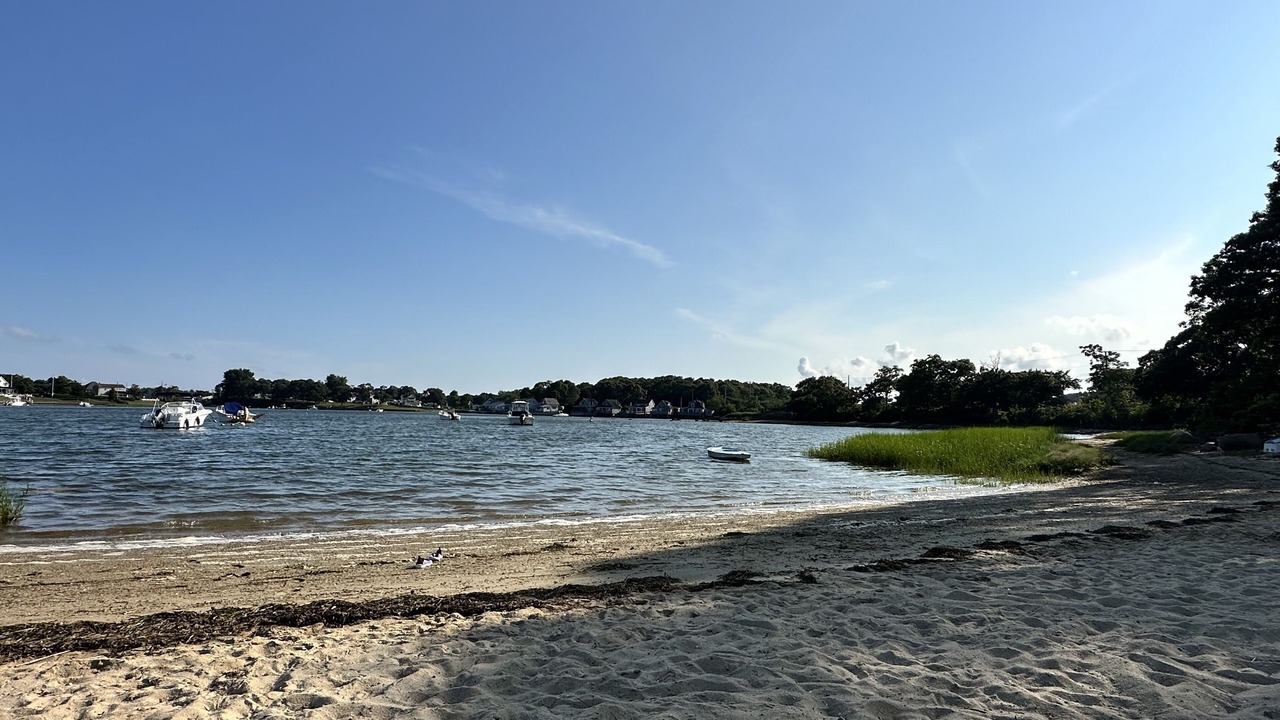 Photo of Others in East Wareham