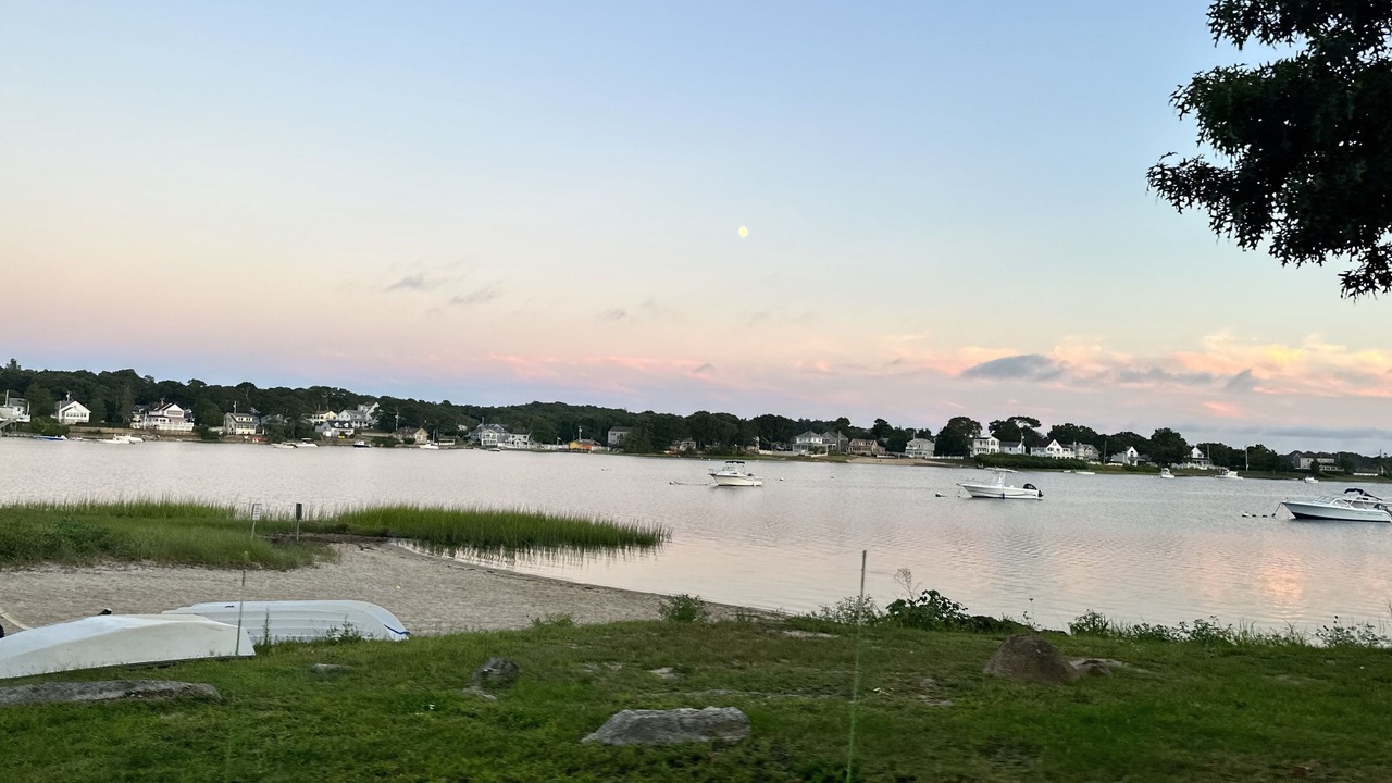 Photo of Others in East Wareham