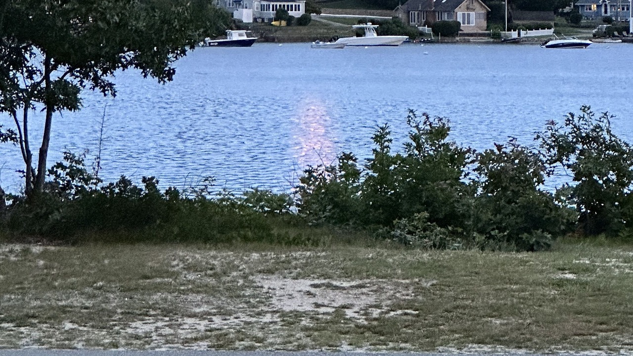 Photo of Others in East Wareham