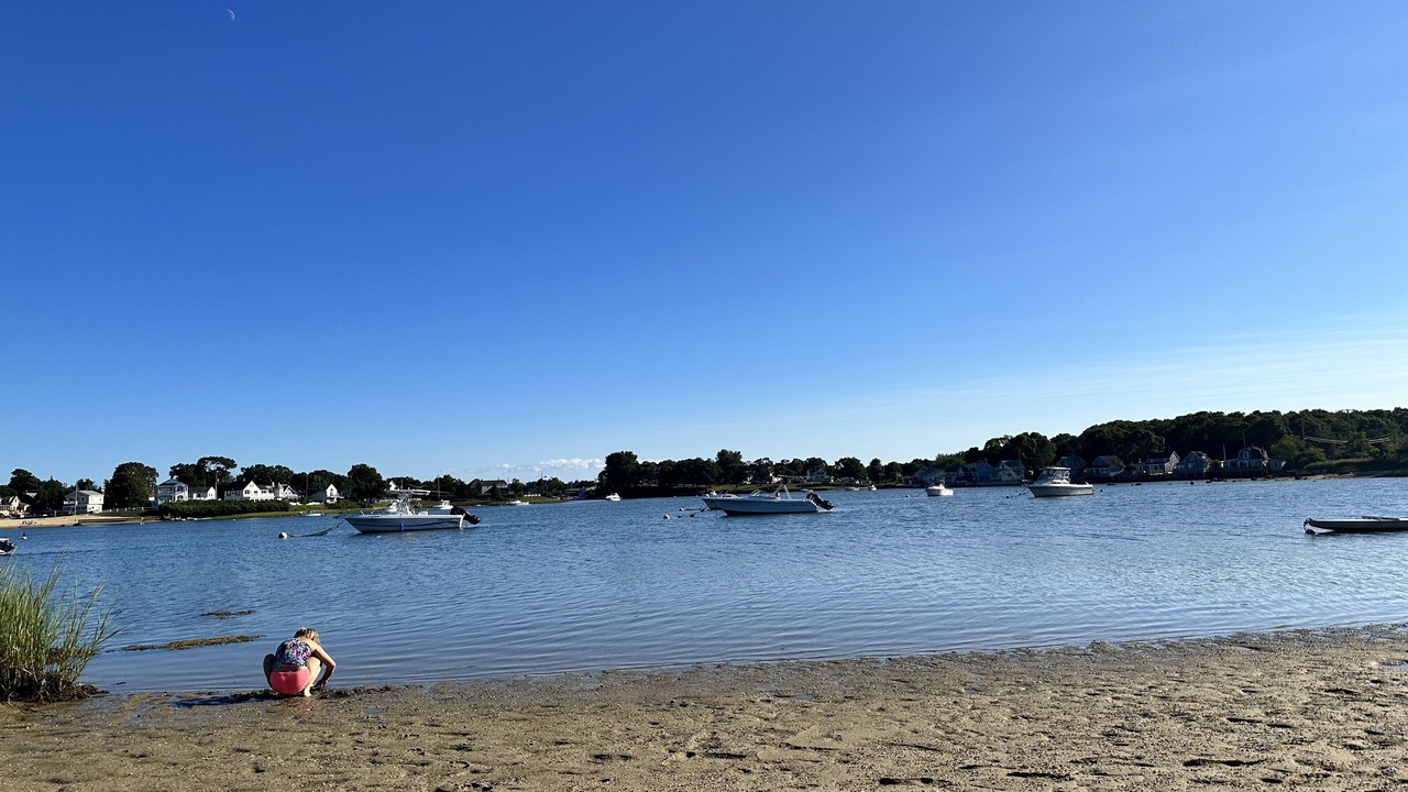 Photo of Others in East Wareham