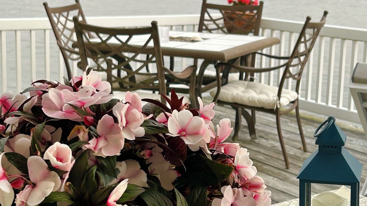 Photo of Outdoor in Northport