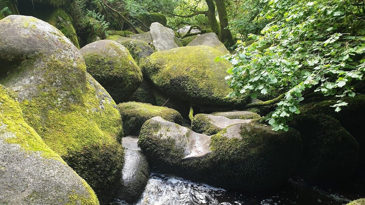 Photo of Outdoor in Saint-Nicolas-du-Pelem