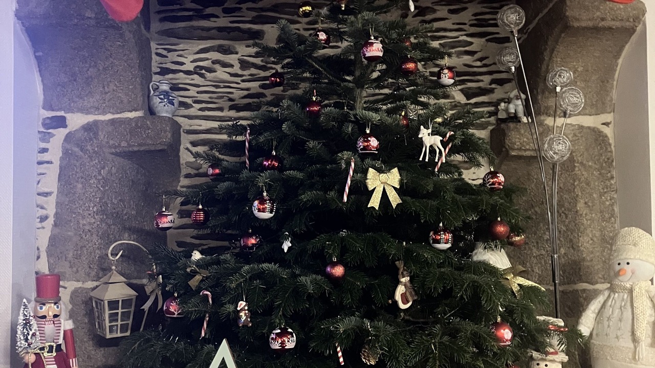 Photo of Others in Saint-Nicolas-du-Pelem