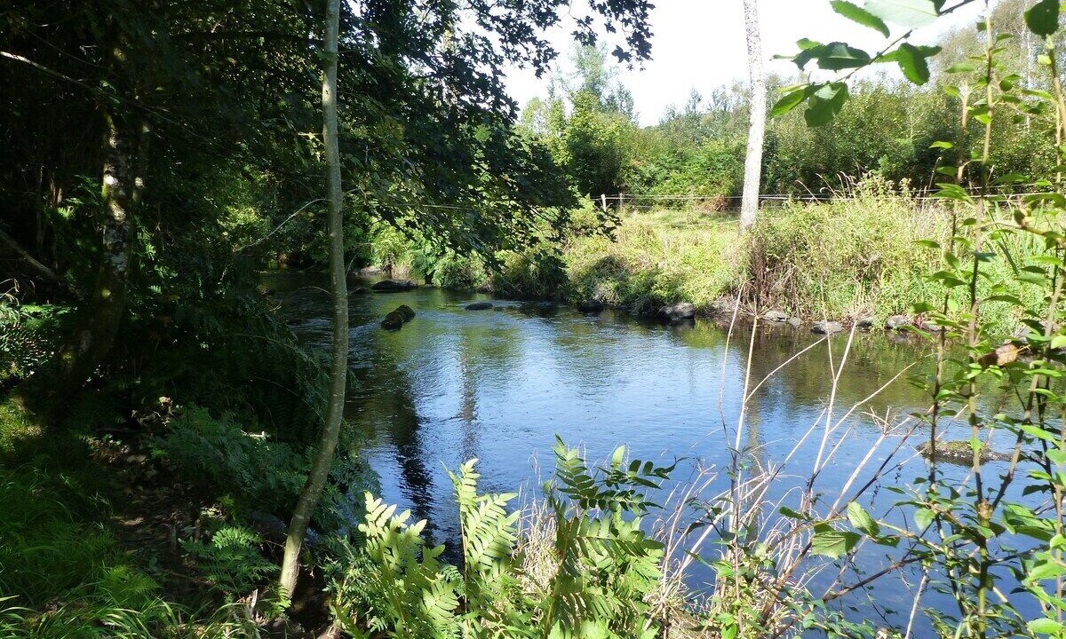 Photo of Outdoor in Scaer