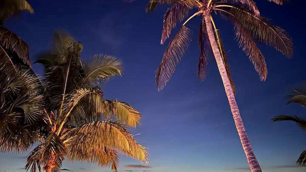 Photo of Outdoor in Tropic