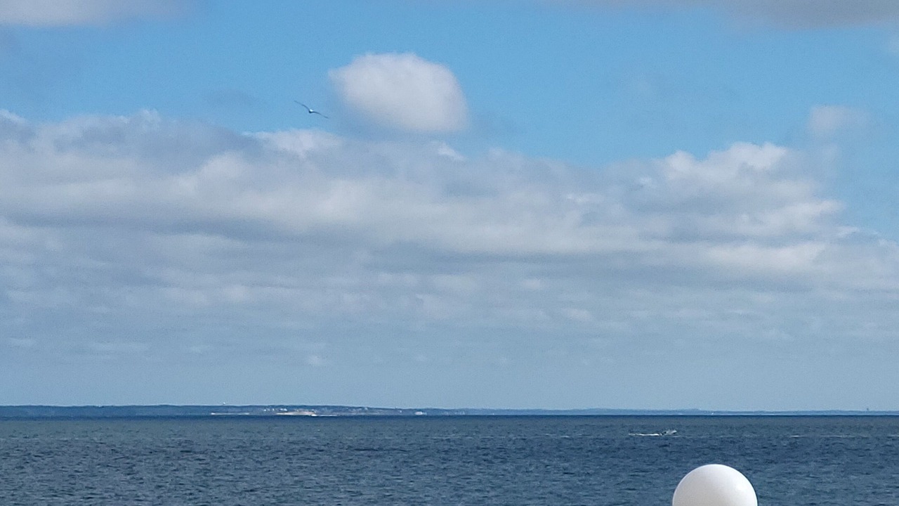 Photo of Others in Oak Bluffs