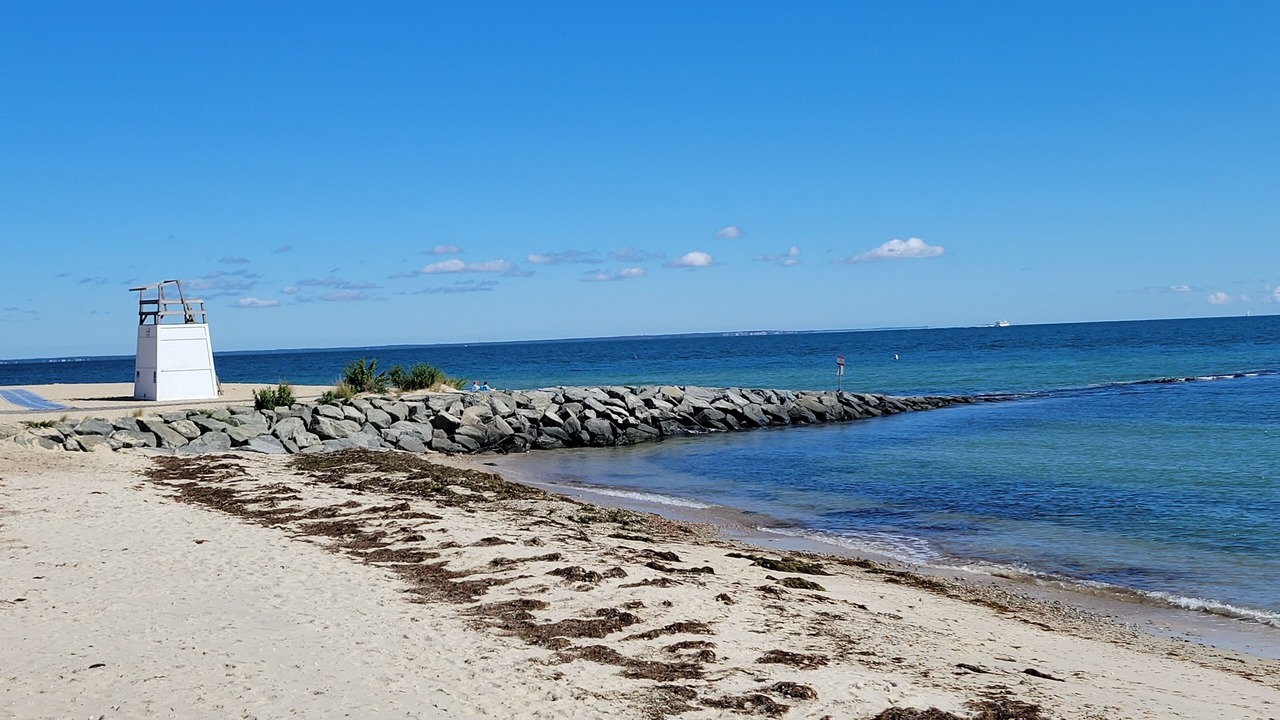 Photo of Others in Oak Bluffs