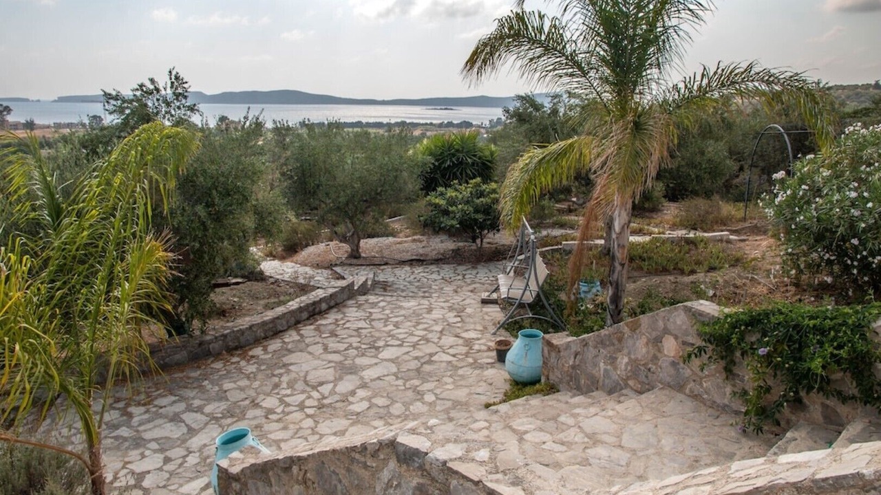 Photo of Outdoor in Messinia