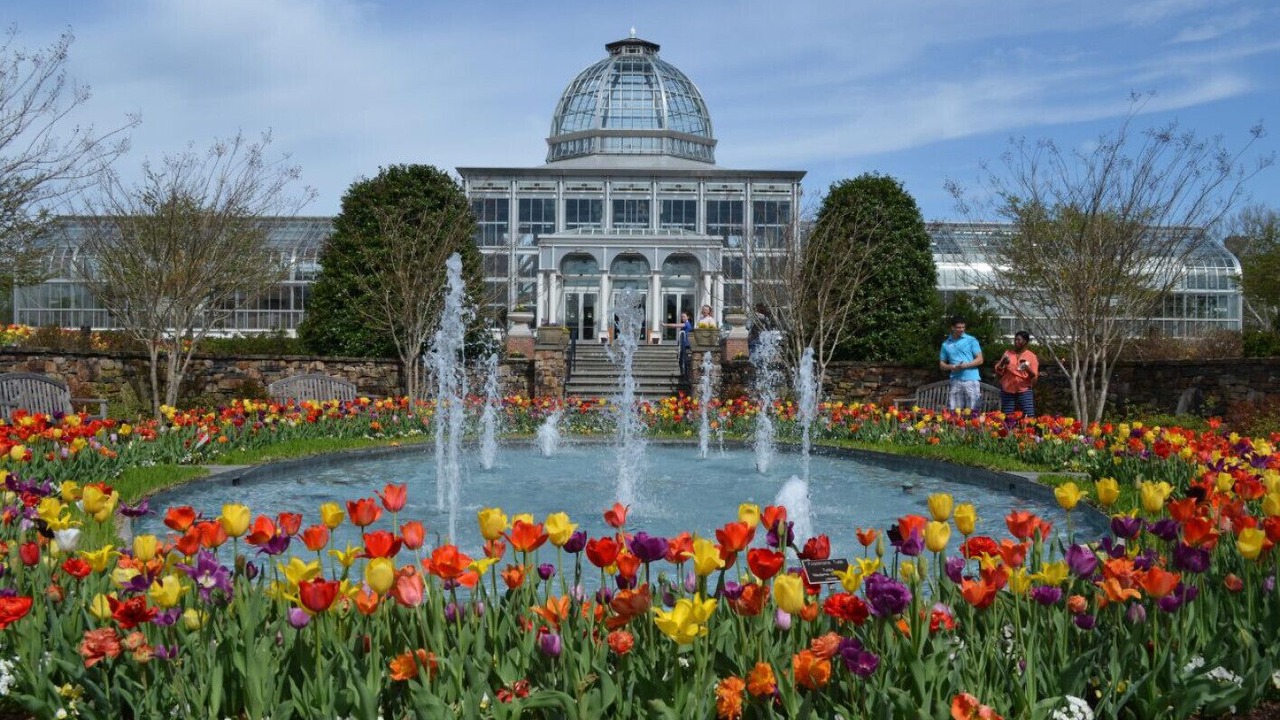 Photo of Outdoor in Mosby