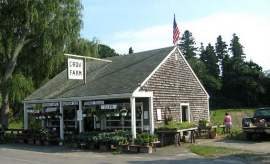 Photo of Others in East Sandwich