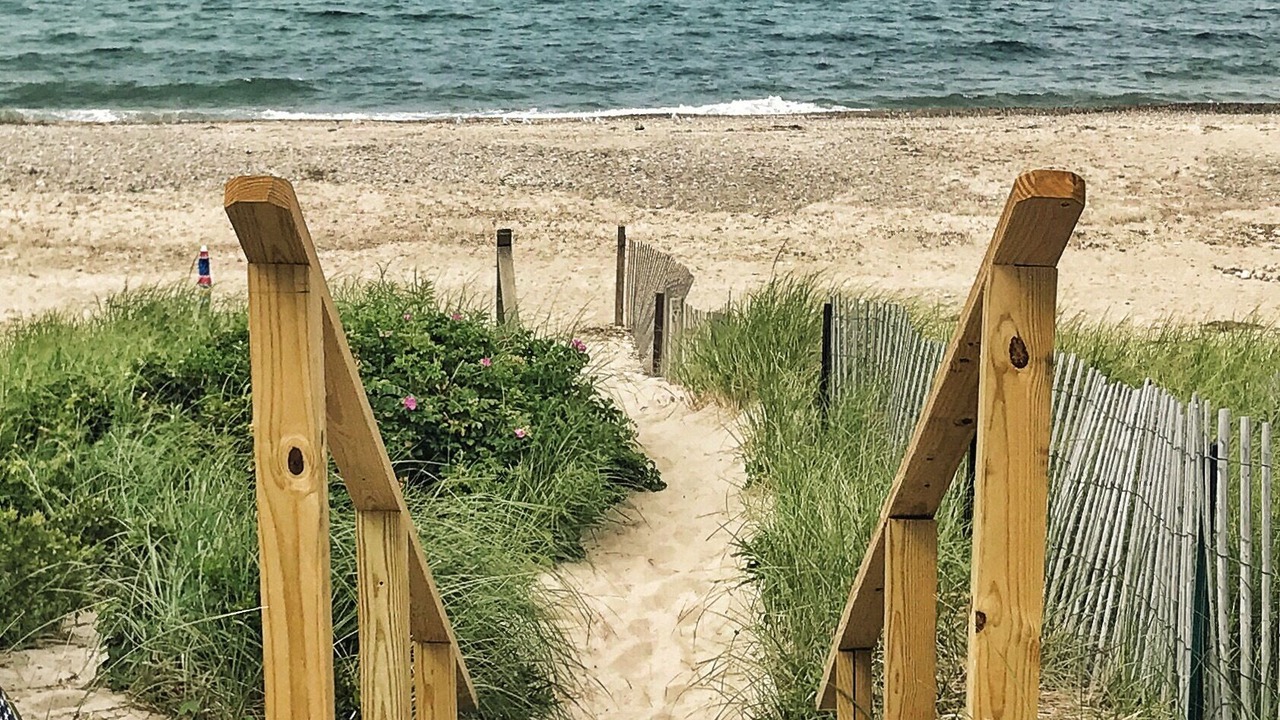 Photo of Others in East Sandwich