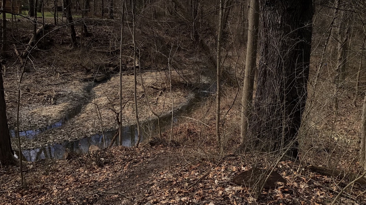 Photo of Others in Pittsford