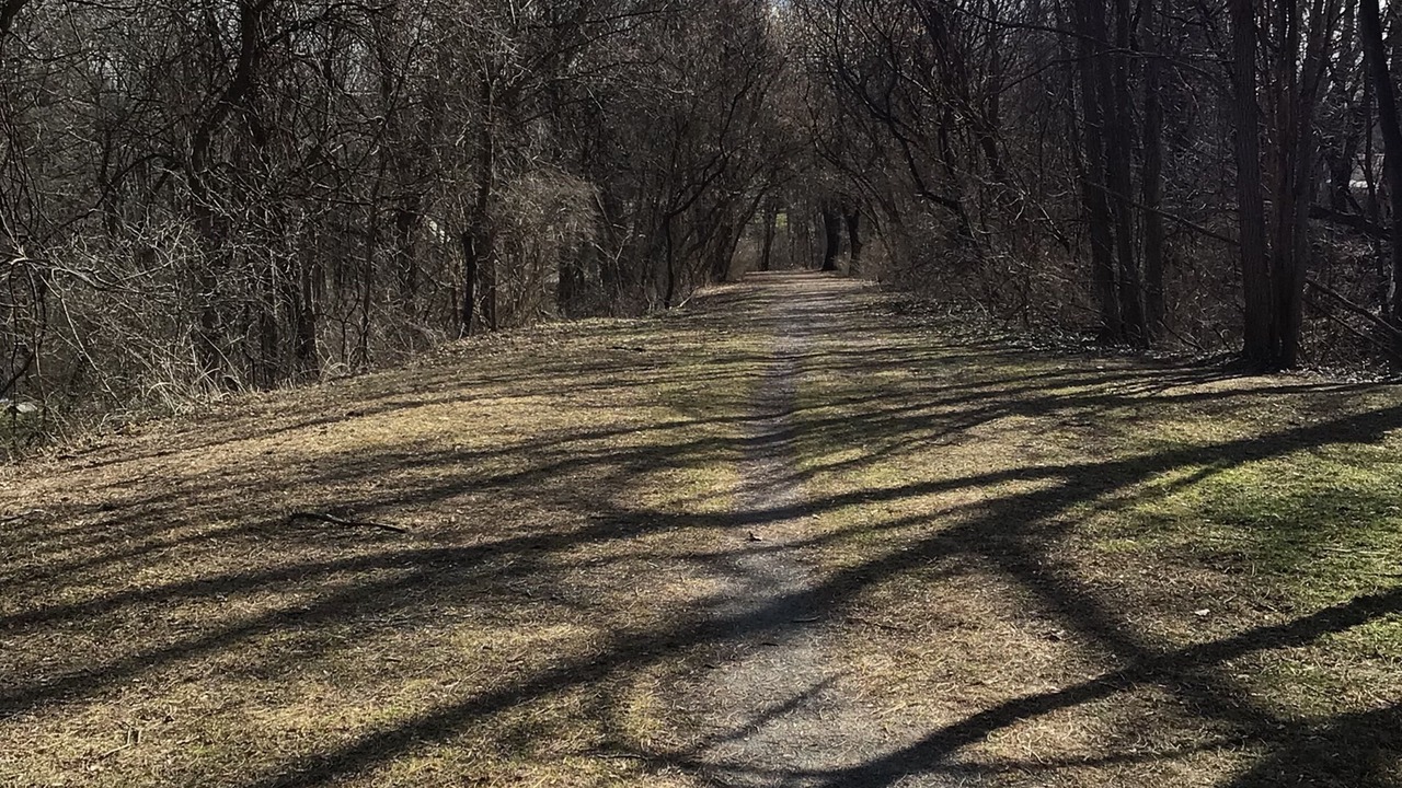 Photo of Outdoor in Pittsford