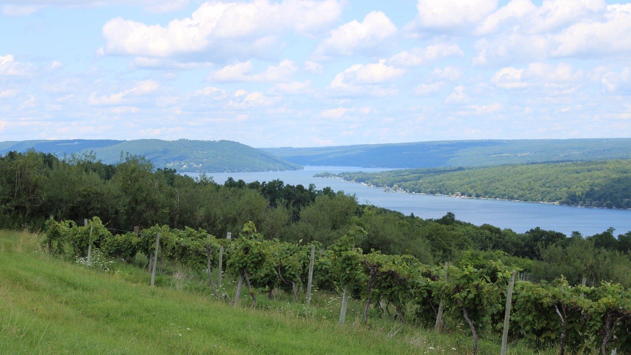 Photo of Outdoor in Hammondsport