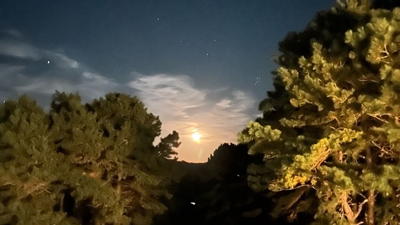Photo of Outdoor in Indian Neck Heights