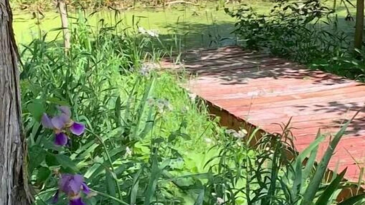 Photo of Outdoor in Columbia City