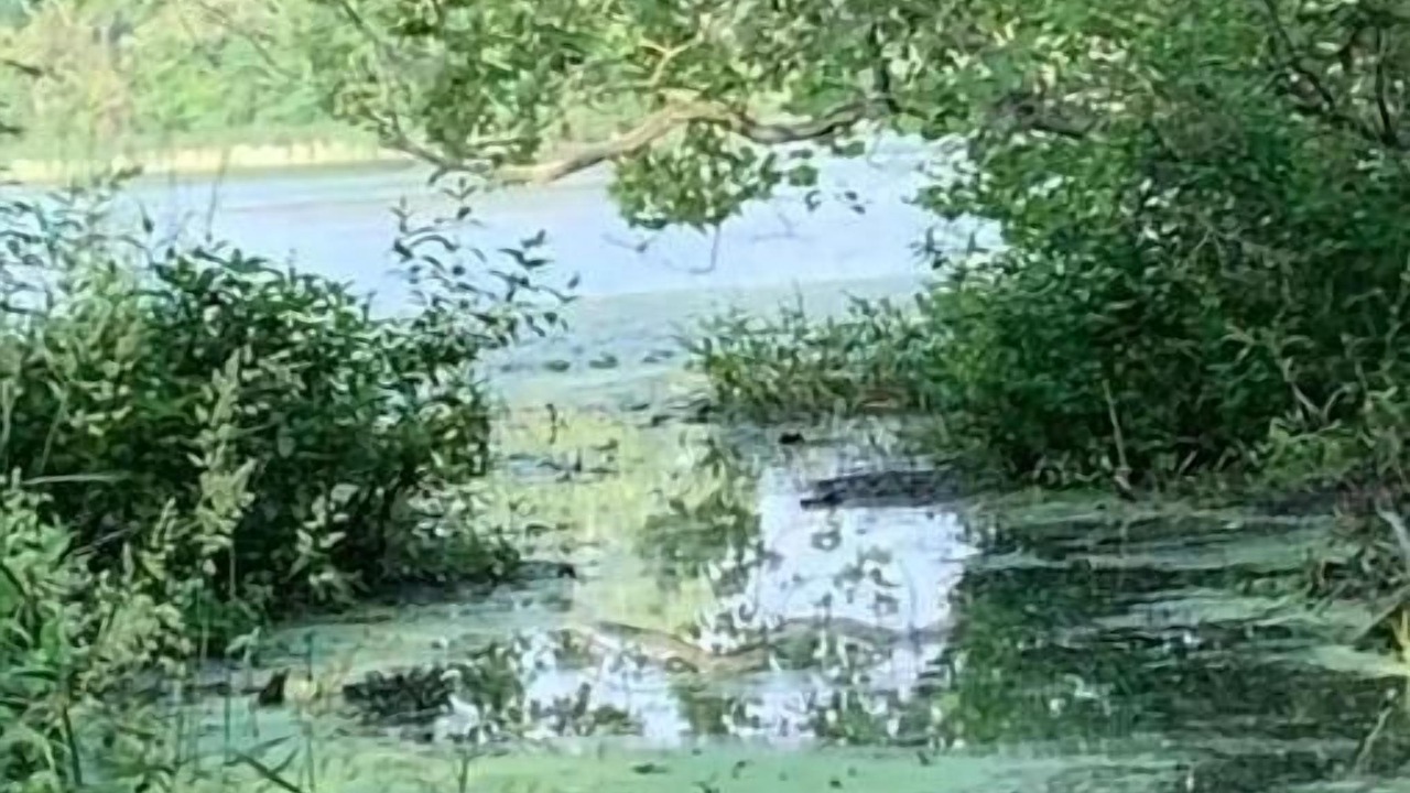 Photo of Outdoor in Columbia City