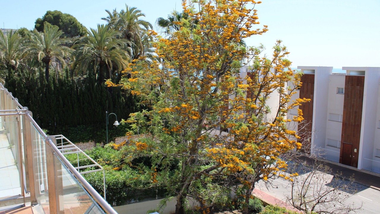 Photo of Outdoor in Aduanas