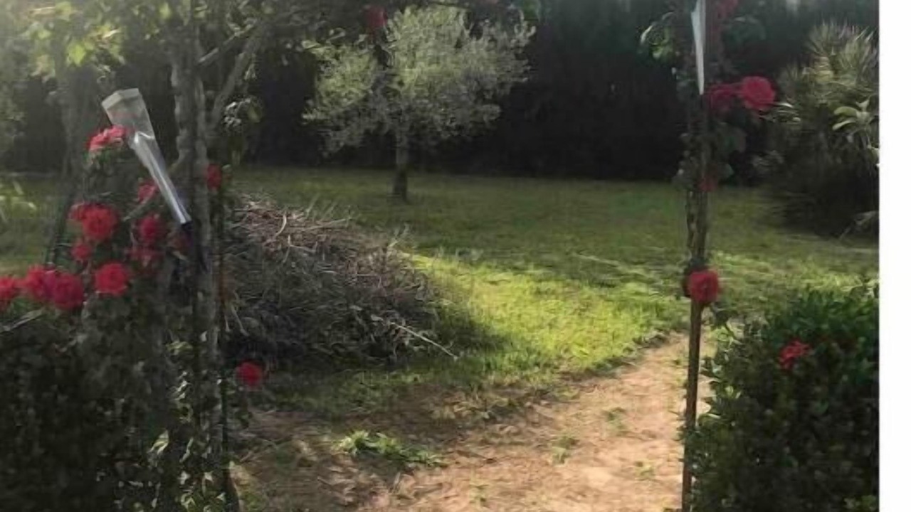 Photo of Outdoor in Turis