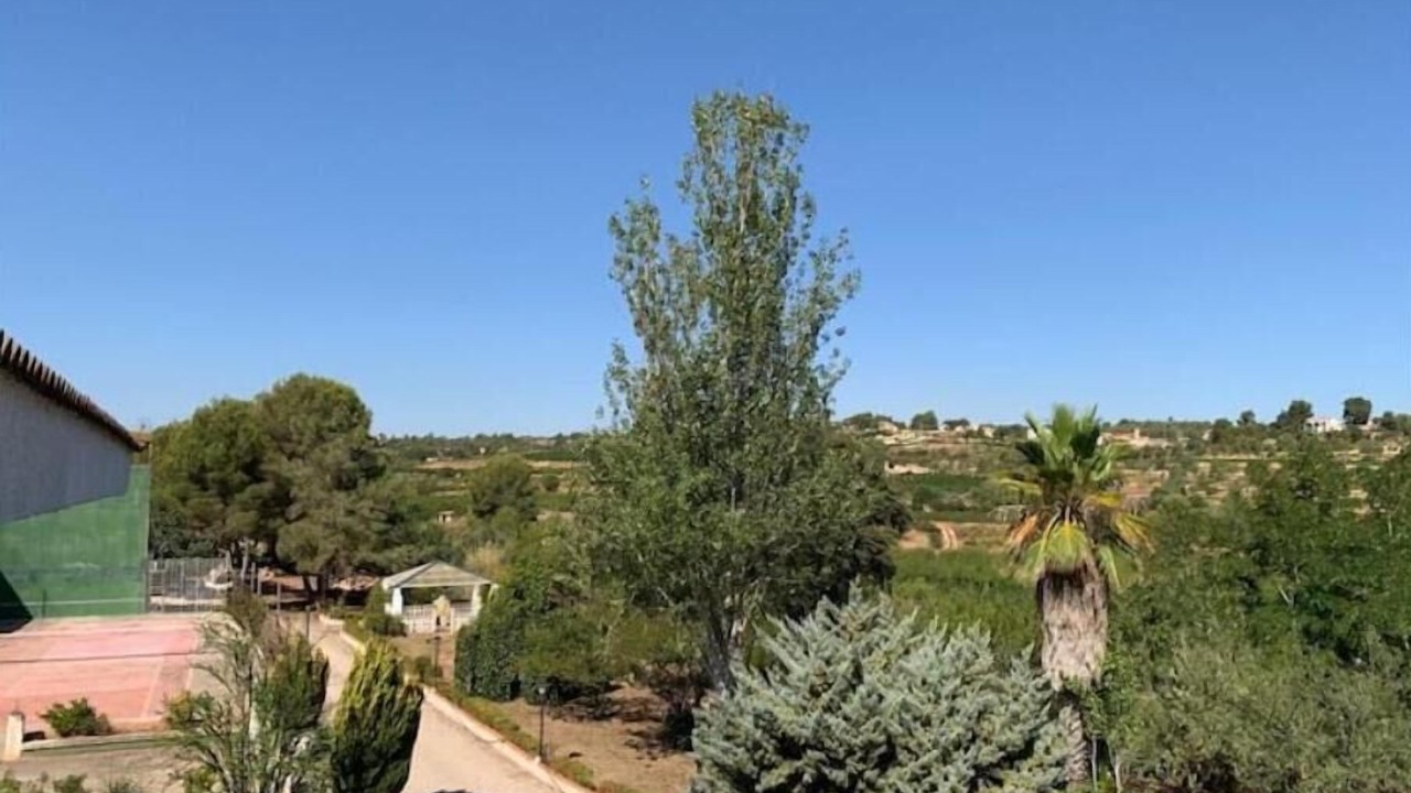 Photo of Outdoor in Turis