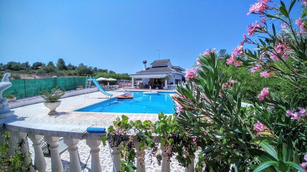 Photo of Outdoor in Turis