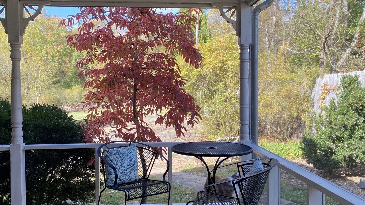 Photo of Outdoor in Washington