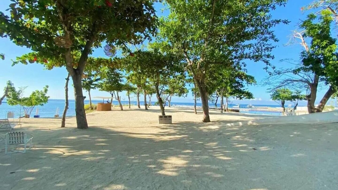 Photo of Others in Maribago