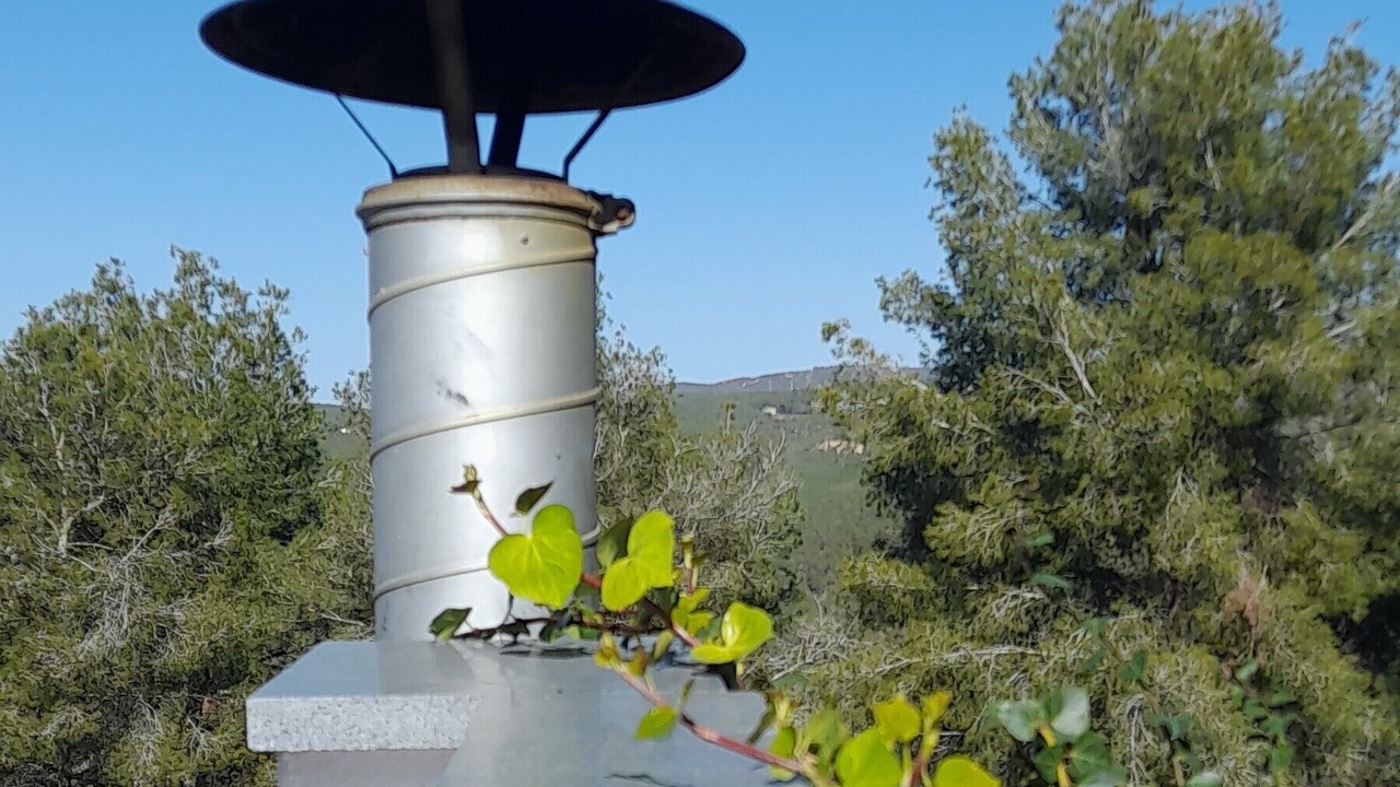 Photo of Others in Olivella