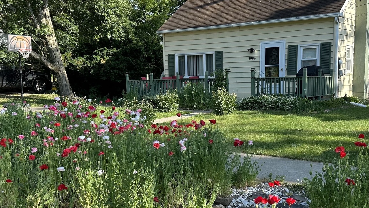 Photo of Outdoor in Burdett