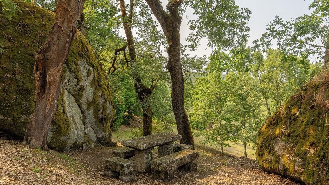 Photo of Outdoor in Santa Comba Dao