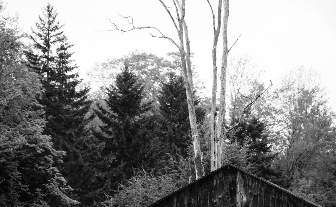 Photo of Outdoor in Haines Falls
