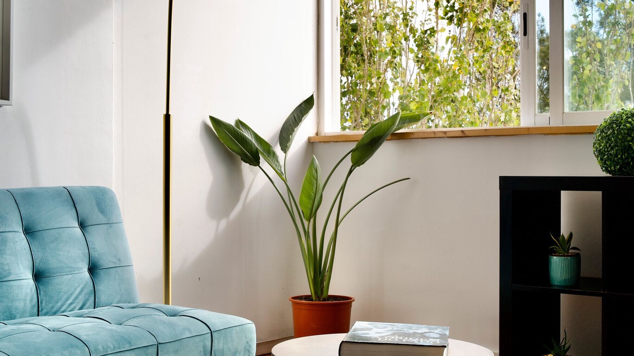 Photo of Livingroom in Parede