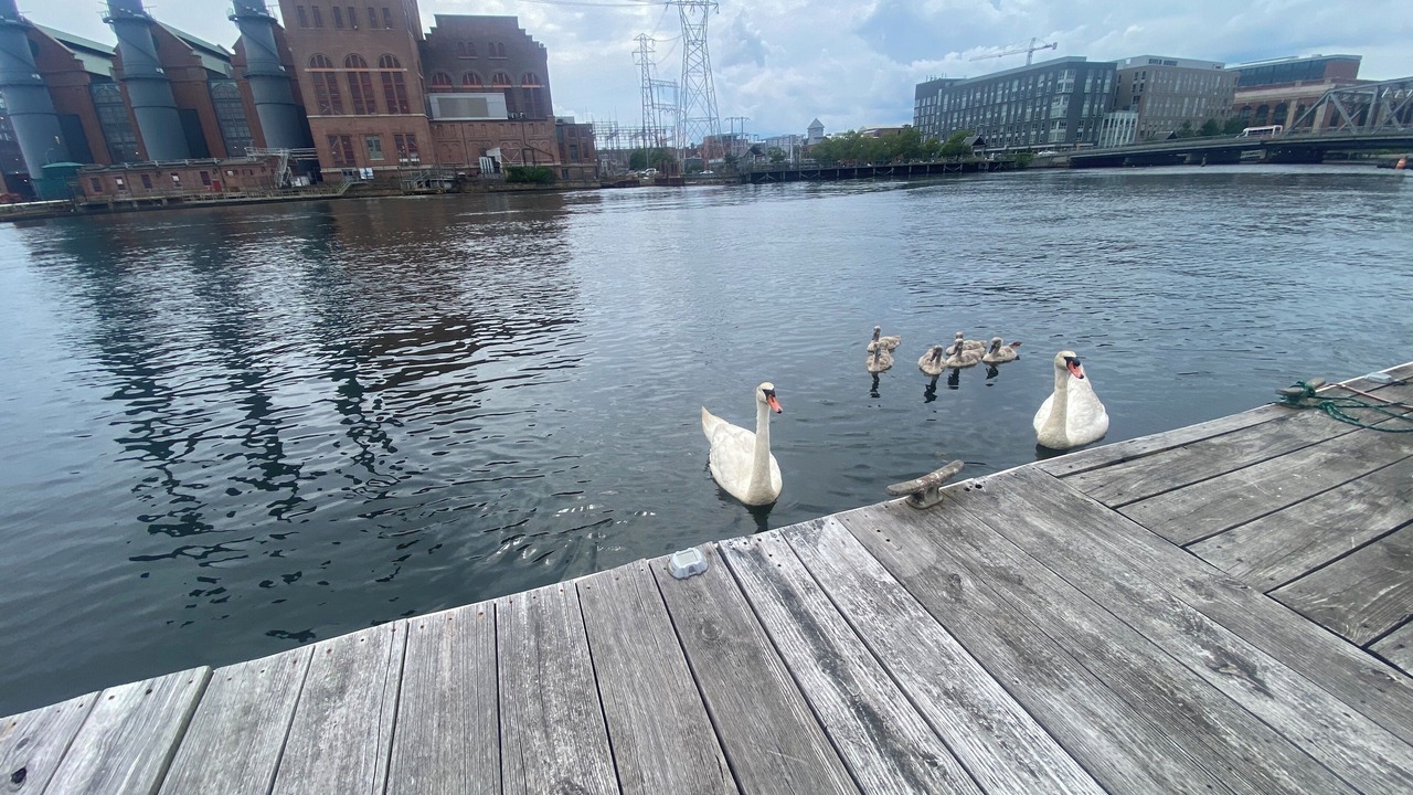 Photo of Others in Downtown