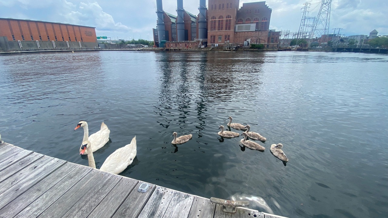 Photo of Others in Downtown