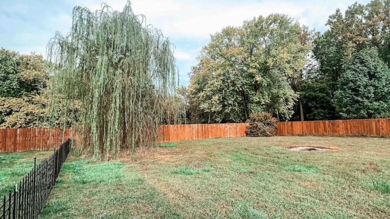 Photo of Outdoor in West Newton