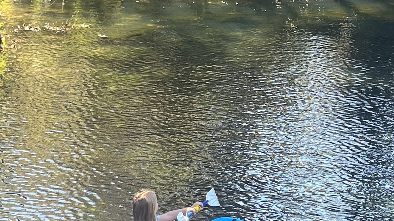 Photo of Others in Chassahowitzka