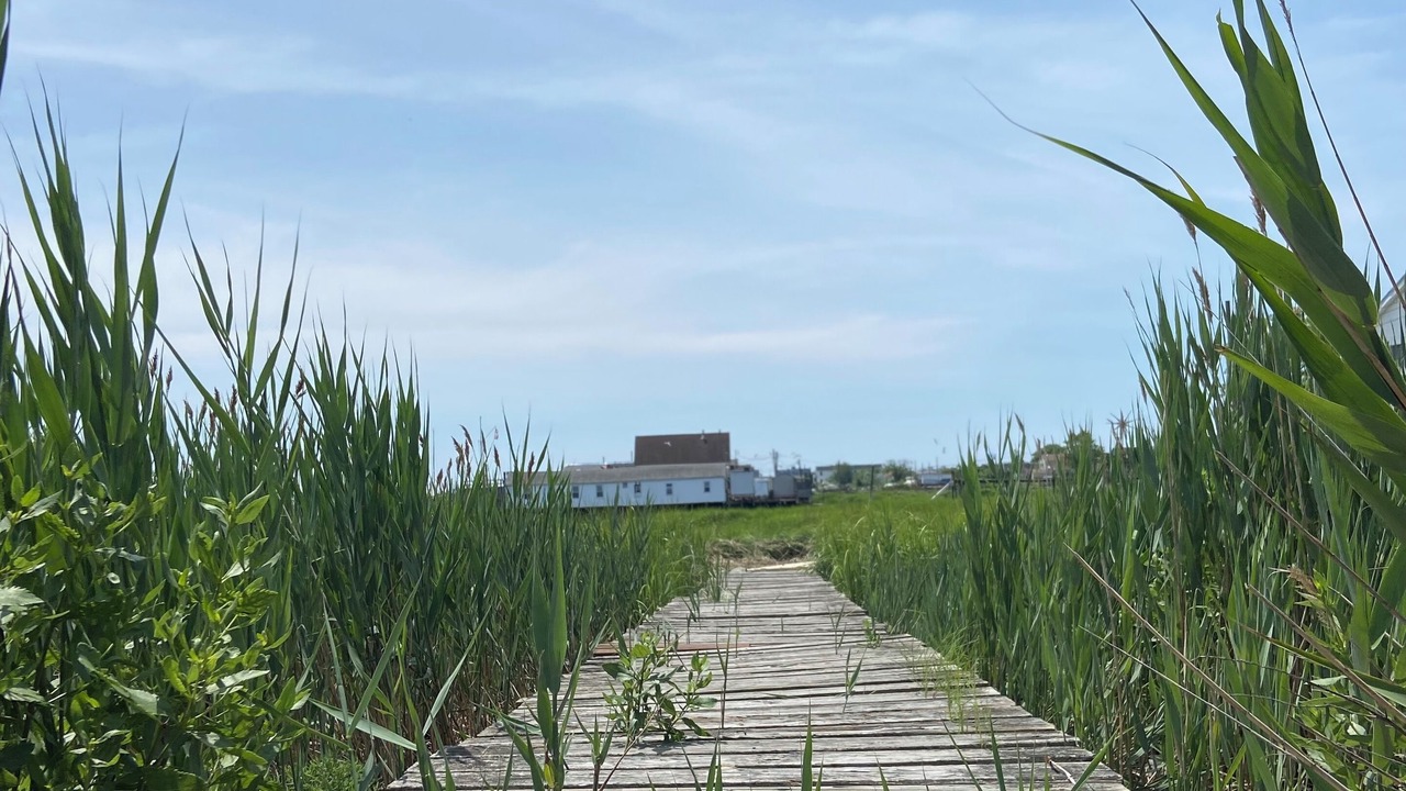 Photo of Outdoor in Broad Channel