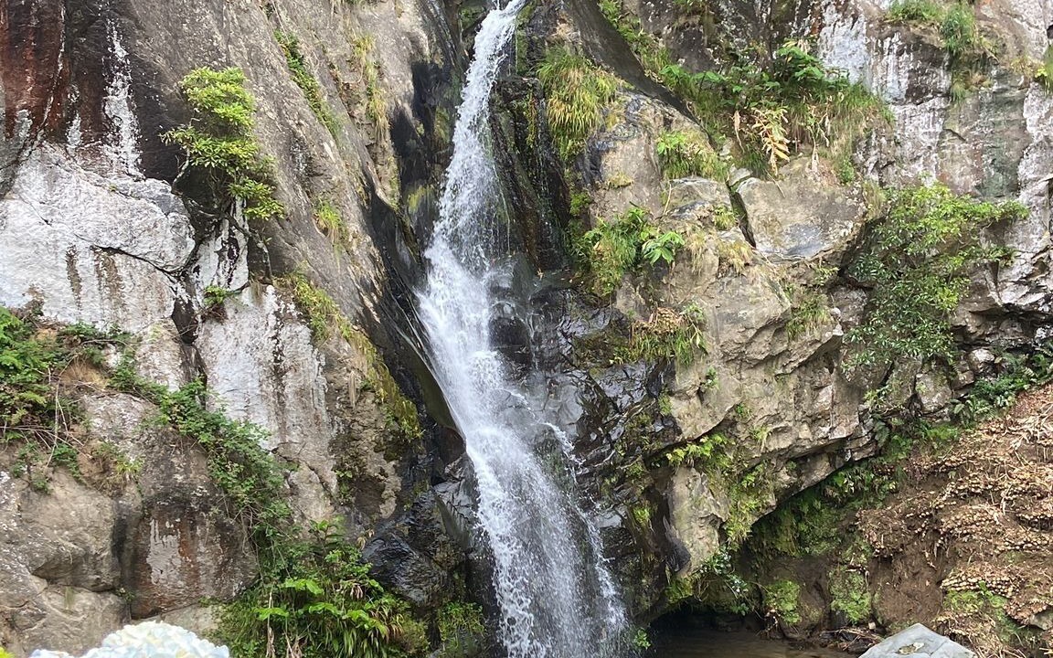 Photo of Others in Mosteiros