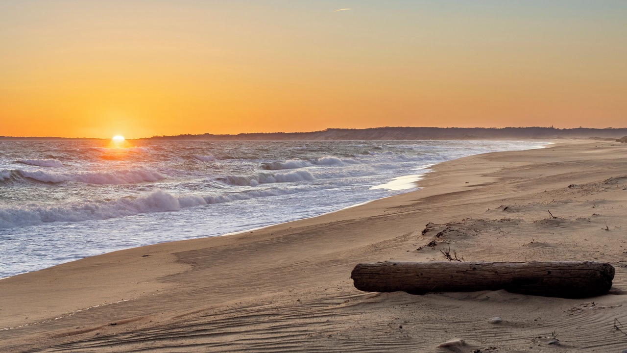 Photo of Others in Chilmark