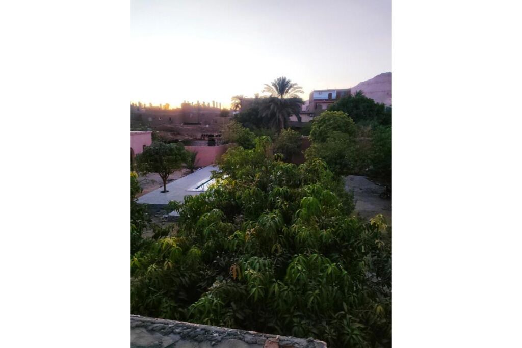 Photo of Others in Luxor