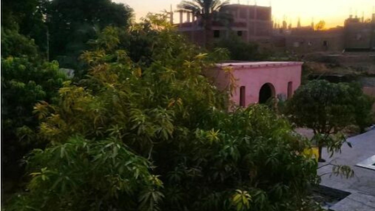 Photo of Outdoor in Luxor