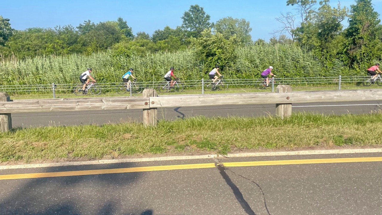 Photo of Others in East Meadow