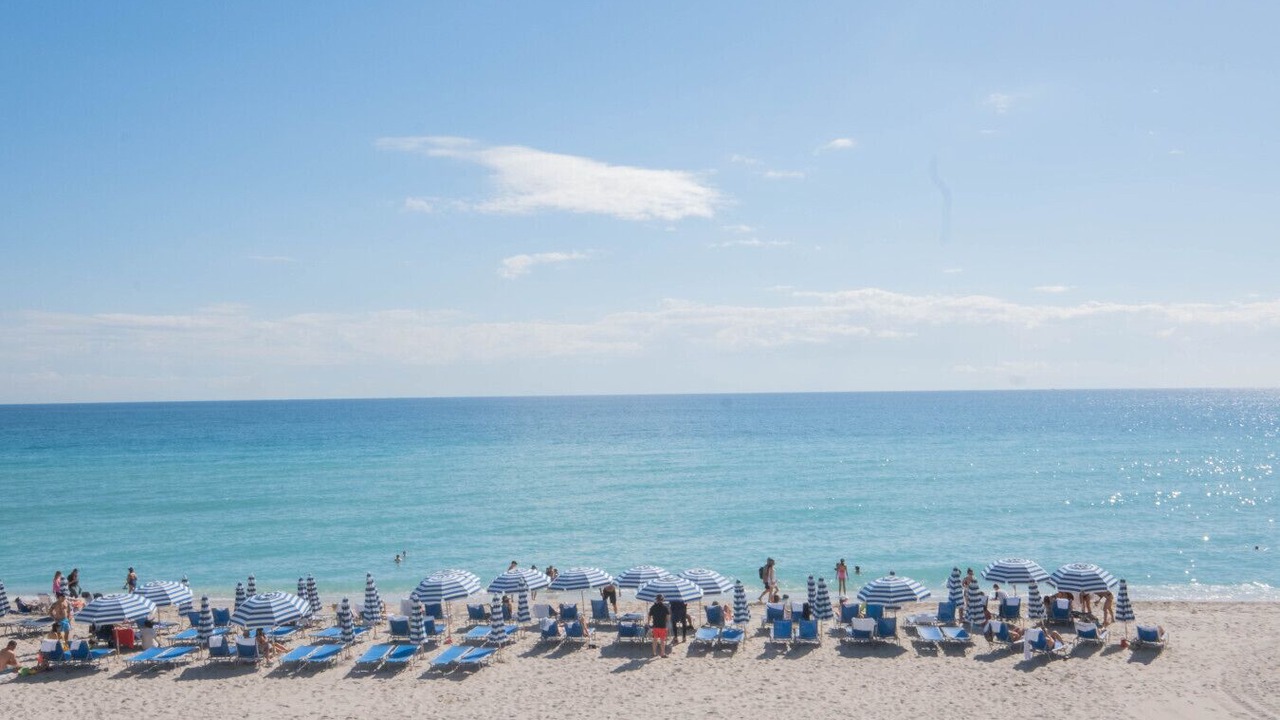 Photo of Others in Hallandale Beach