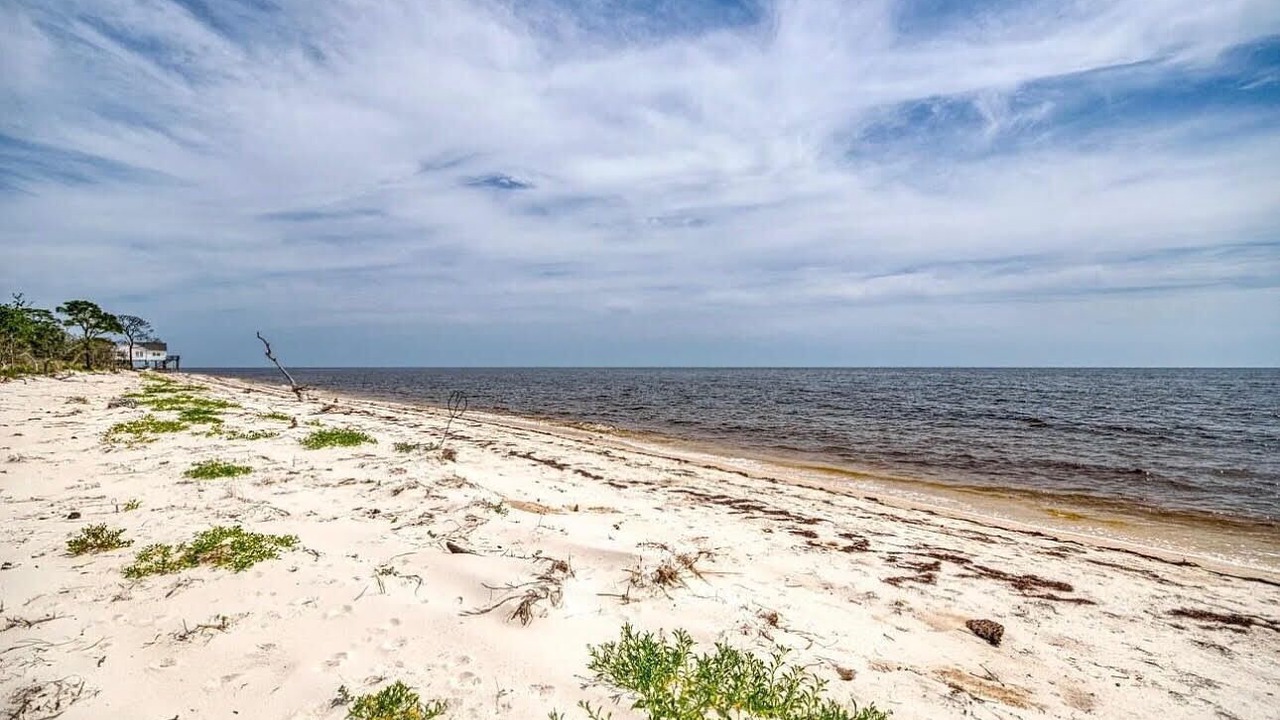 Photo of Others in Alligator Point