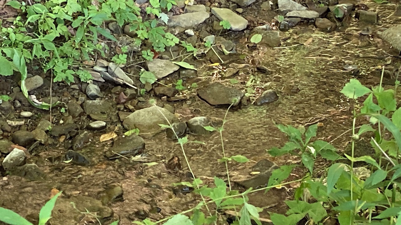Photo of Others in Cohocton
