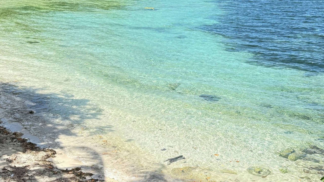 Photo of Others in Macrohon