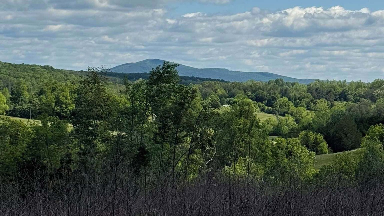 Photo of Others in Piney Mountain